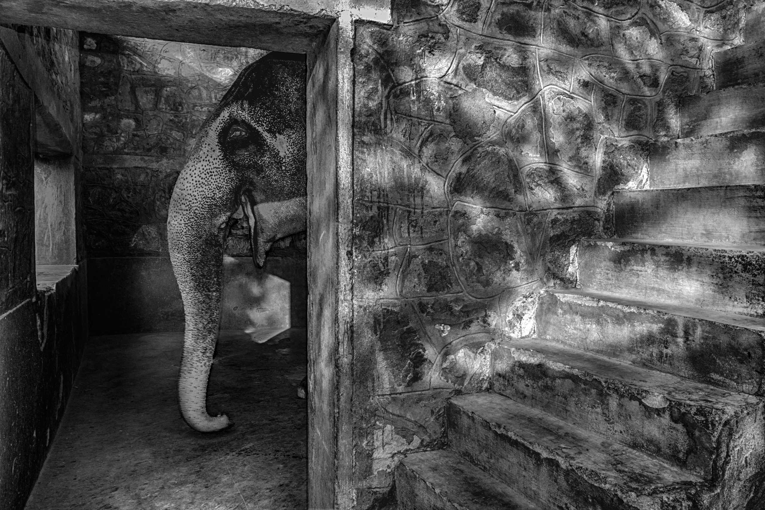 DSC_1073_HDR copy